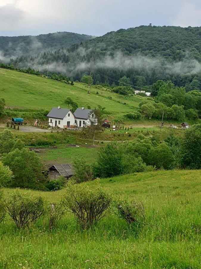 Domki W Bieszczadzkiej Dolinie Ustrzyki Dolne Bagian luar foto