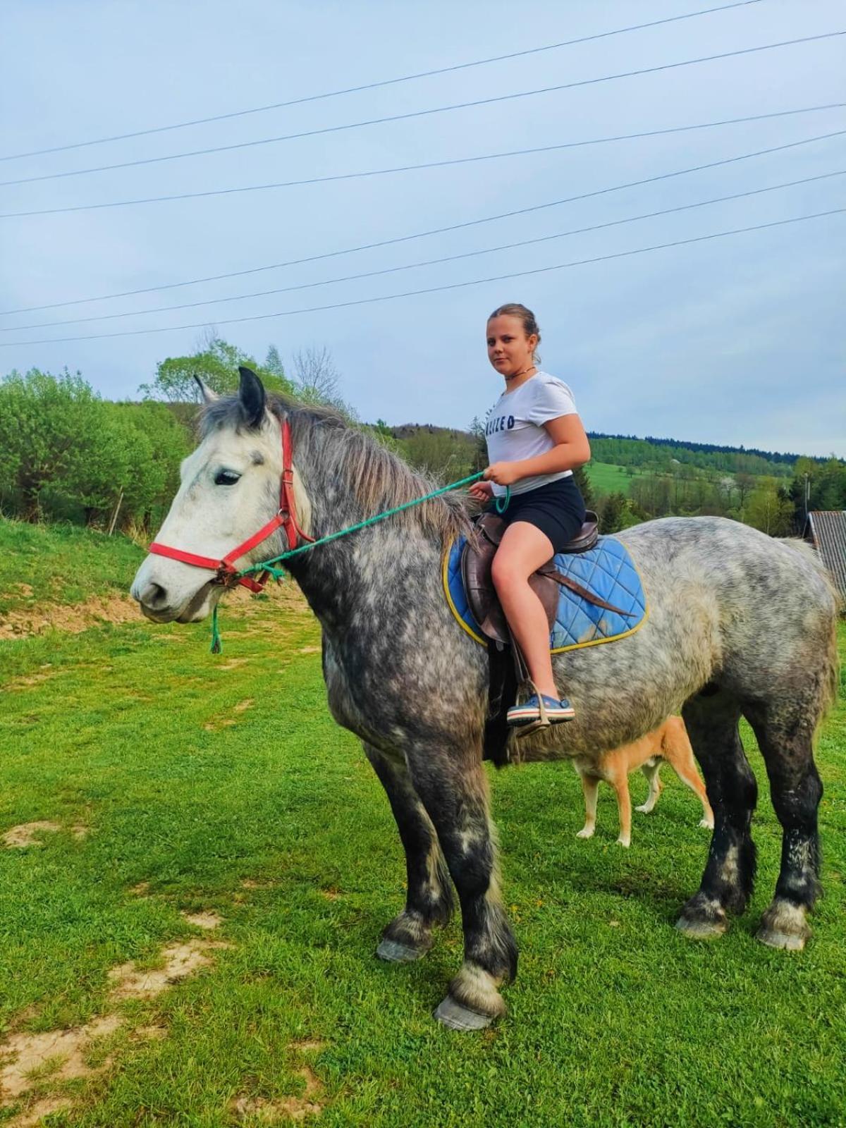 Domki W Bieszczadzkiej Dolinie Ustrzyki Dolne Bagian luar foto